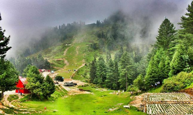 Things To Do In Malam Jabba