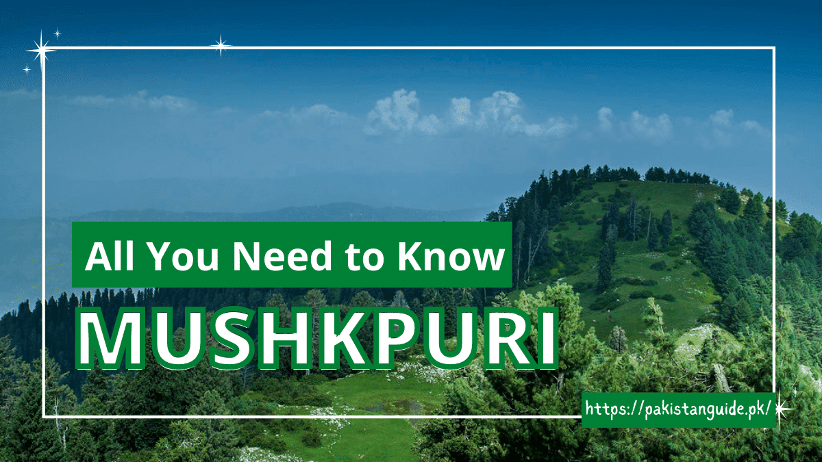 Mushkpuri Peak (Nathia Gali) – All You Need to Know – Pakistan Guide