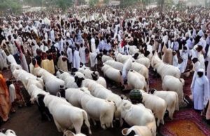 10 Biggest Animal Markets During Eid ul Azha in Pakistan Animal Markets During Eid ul Azha